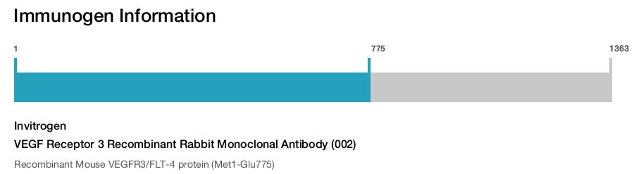VEGF Receptor 3 Recombinant Rabbit Monoclonal Antibody (002)