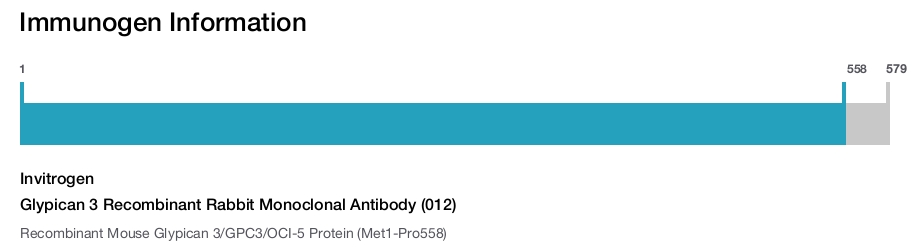 Glypican 3 Recombinant Rabbit Monoclonal Antibody (012)