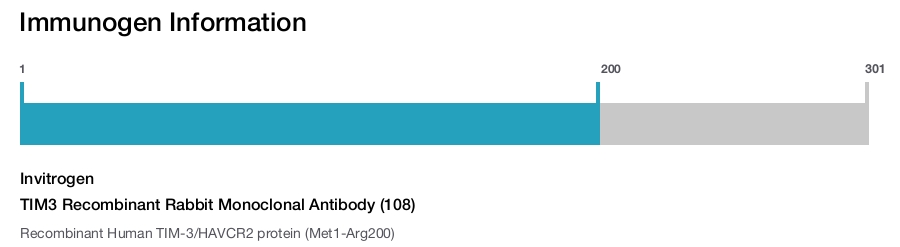 TIM3 Recombinant Rabbit Monoclonal Antibody (108)