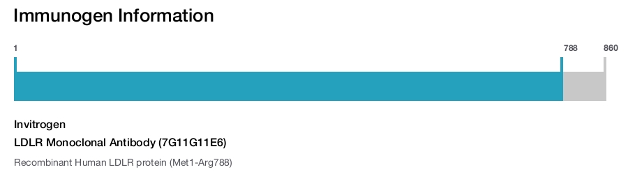 LDLR Monoclonal Antibody (7G11G11E6)