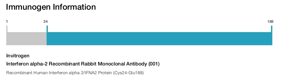 Interferon alpha-2 Recombinant Rabbit Monoclonal Antibody (001)