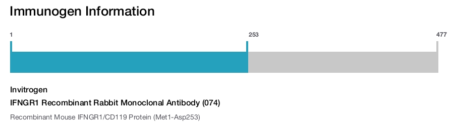 IFNGR1 Recombinant Rabbit Monoclonal Antibody (074)