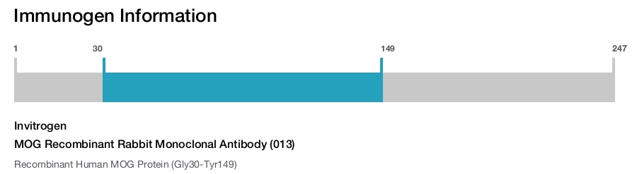 MOG Recombinant Rabbit Monoclonal Antibody (013)
