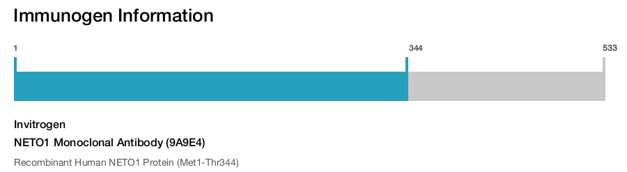 NETO1 Monoclonal Antibody (9A9E4)
