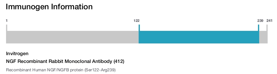 NGF Recombinant Rabbit Monoclonal Antibody (412)