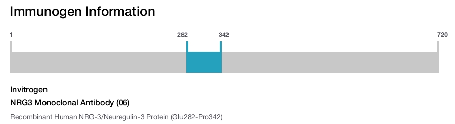NRG3 Monoclonal Antibody (06)