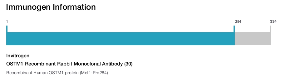 OSTM1 Recombinant Rabbit Monoclonal Antibody (30)