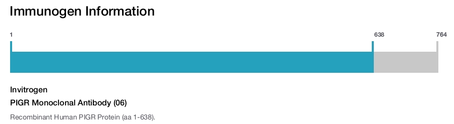 PIGR Monoclonal Antibody (06)