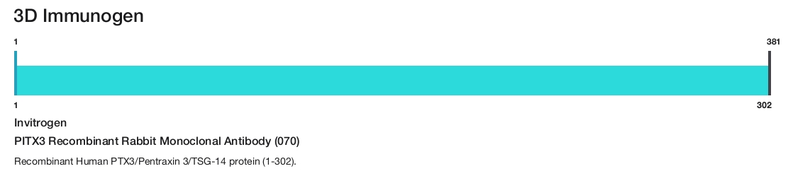PITX3 Recombinant Rabbit Monoclonal Antibody (070)
