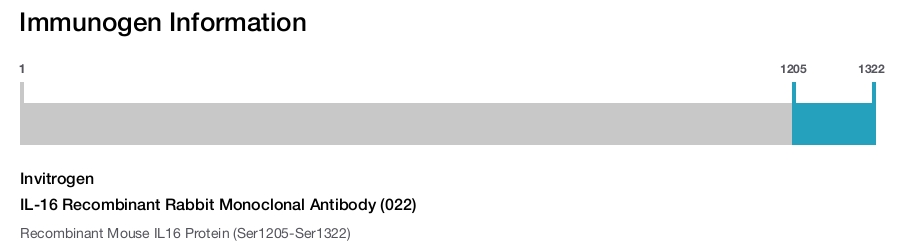 IL-16 Recombinant Rabbit Monoclonal Antibody (022)