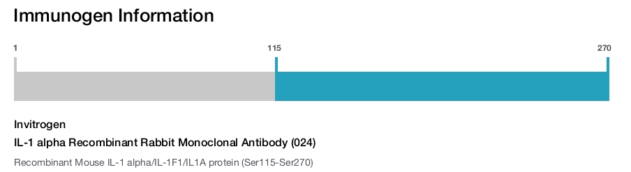 IL-1 alpha Recombinant Rabbit Monoclonal Antibody (024)