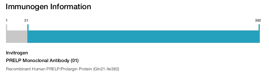 PRELP Monoclonal Antibody (01)