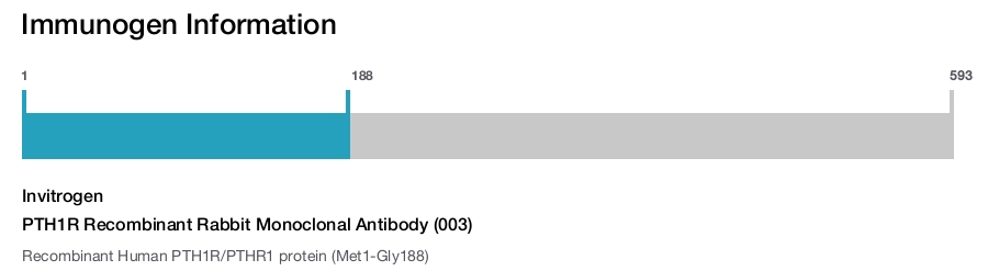 PTH1R Recombinant Rabbit Monoclonal Antibody (003)