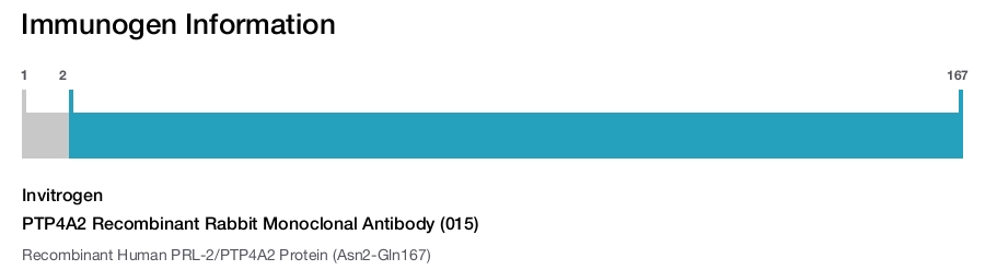 PTP4A2 Recombinant Rabbit Monoclonal Antibody (015)