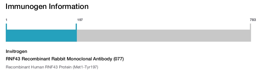 RNF43 Recombinant Rabbit Monoclonal Antibody (077)