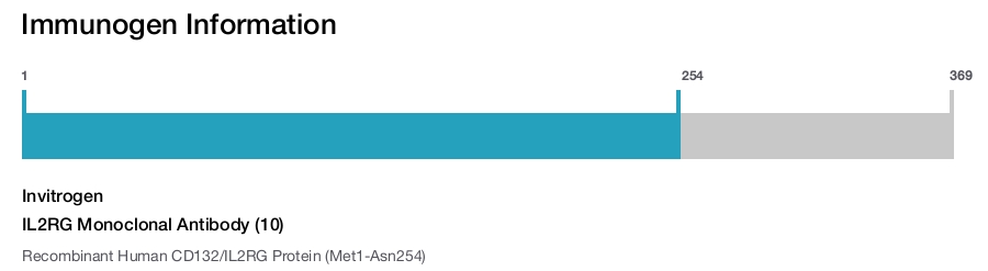IL2RG Monoclonal Antibody (10)