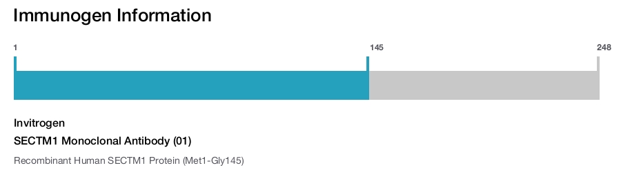 SECTM1 Monoclonal Antibody (01)