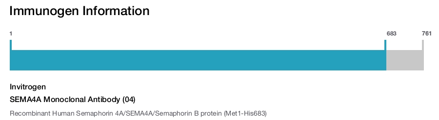 SEMA4A Monoclonal Antibody (04)