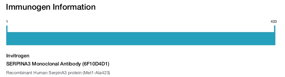 SERPINA3 Monoclonal Antibody (6F10D4D1)