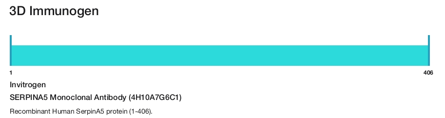 SERPINA5 Monoclonal Antibody (4H10A7G6C1)