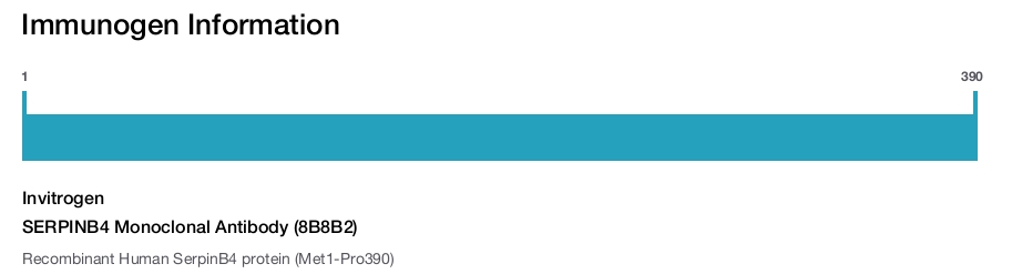 SERPINB4 Monoclonal Antibody (8B8B2)