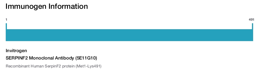 SERPINF2 Monoclonal Antibody (5E11G10)