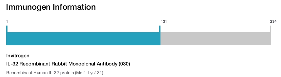 IL-32 Recombinant Rabbit Monoclonal Antibody (030)
