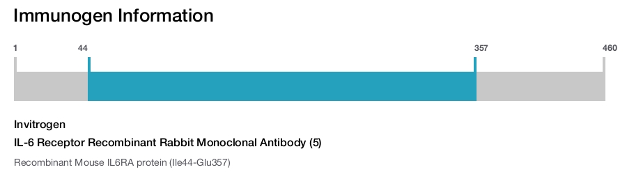 IL-6 Receptor Recombinant Rabbit Monoclonal Antibody (5)