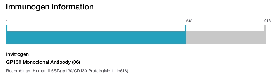 GP130 Monoclonal Antibody (06)