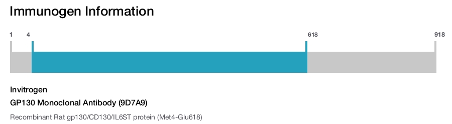 GP130 Monoclonal Antibody (9D7A9)