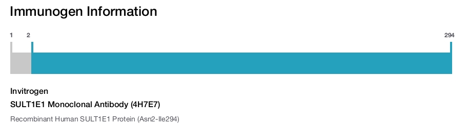 SULT1E1 Monoclonal Antibody (4H7E7)
