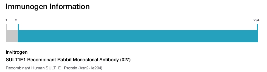 SULT1E1 Recombinant Rabbit Monoclonal Antibody (027)