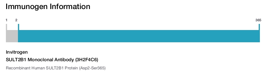 SULT2B1 Monoclonal Antibody (3H2F4C6)