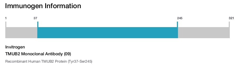 TMUB2 Monoclonal Antibody (09)