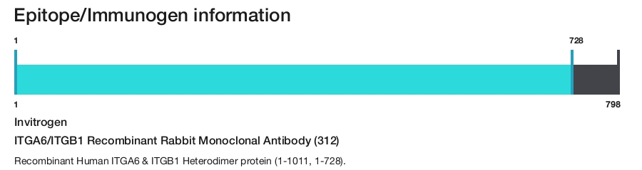 ITGA6/ITGB1 Recombinant Rabbit Monoclonal Antibody (312)