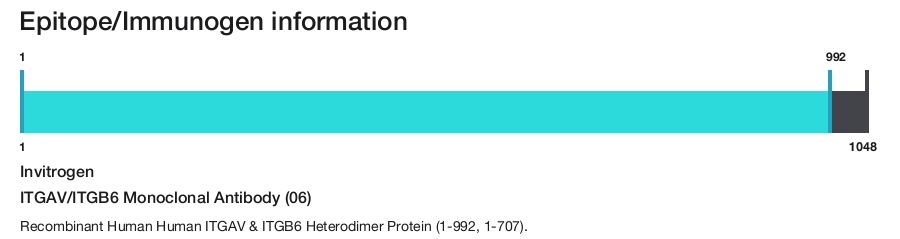 ITGAV/ITGB6 Monoclonal Antibody (06)