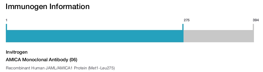 AMICA Monoclonal Antibody (06)