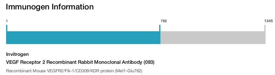 VEGF Receptor 2 Recombinant Rabbit Monoclonal Antibody (093)