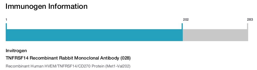 TNFRSF14 Recombinant Rabbit Monoclonal Antibody (028)