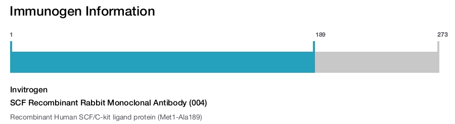 SCF Recombinant Rabbit Monoclonal Antibody (004)