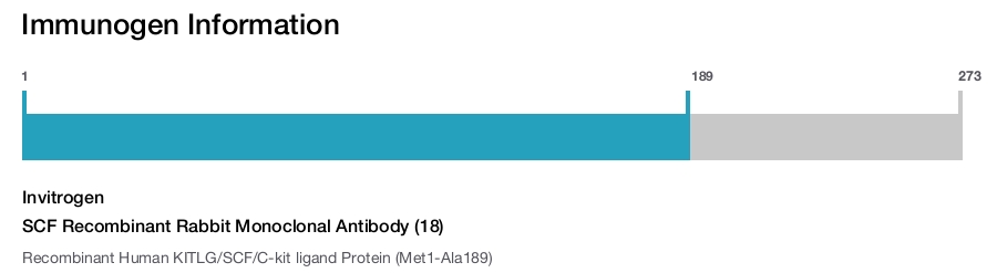 SCF Recombinant Rabbit Monoclonal Antibody (18)