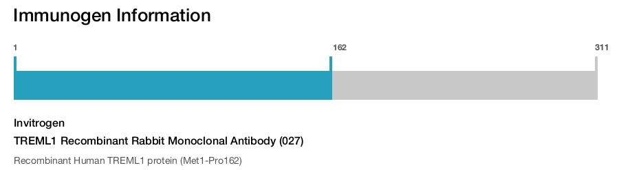 TREML1 Recombinant Rabbit Monoclonal Antibody (027)