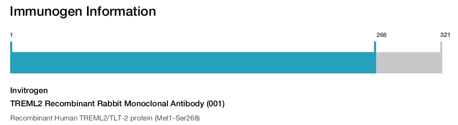 TREML2 Recombinant Rabbit Monoclonal Antibody (001)