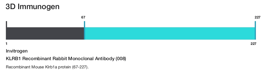 KLRB1 Recombinant Rabbit Monoclonal Antibody (008)