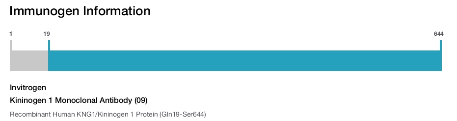 Kininogen 1 Monoclonal Antibody (09)