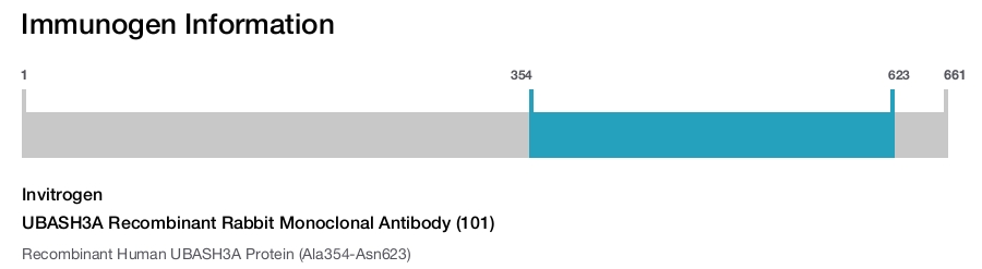 UBASH3A Recombinant Rabbit Monoclonal Antibody (101)