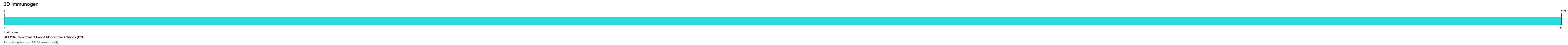 UBE2D4 Recombinant Rabbit Monoclonal Antibody (129)