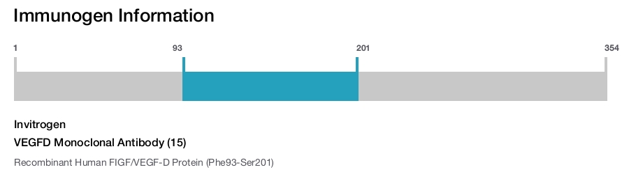VEGFD Monoclonal Antibody (15)