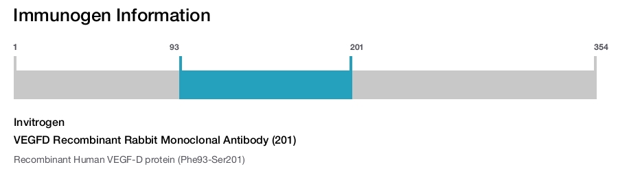 VEGFD Recombinant Rabbit Monoclonal Antibody (201)