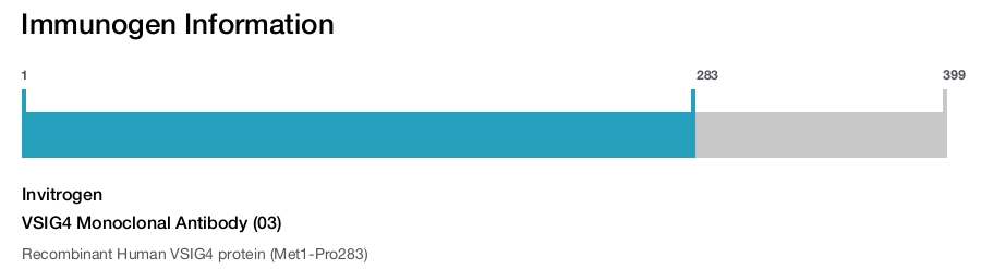VSIG4 Monoclonal Antibody (03)
